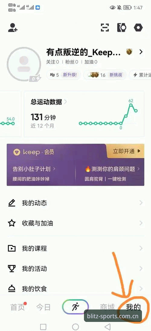 Bsports体育平台实时统计功能使用指南：新手也能快速掌握